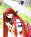 AF4879【SEN】DD（L/M）/DDDy用洋服6点セット