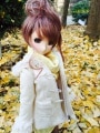 AF5679【u.u.z】MSD、SD/DD用洋服3点セット|女の子 セット服(総合)|◆ドール洋服（種類別）