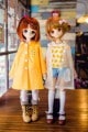 AF5958【SEN】★幼SD,MSD,SD/DD,SD13,SD17用レインコート|ワンピ/シャツ/ブラウス/セーター|◆ドール洋服（種類別）