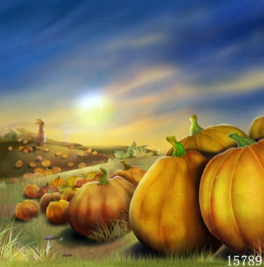 即納品SS-15789 ドール用背景布（在庫あり）　SS(幅0.3ｍｘ長さ0.6ｍ)