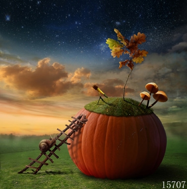 即納品SS-15707 ドール用背景布（在庫あり）　SS(幅0.3ｍｘ長さ0.6ｍ)