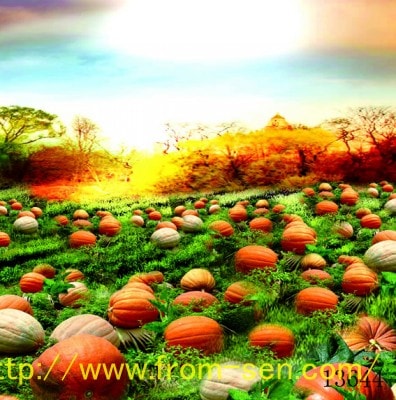 即納品SS-13644 ドール用背景布（在庫あり）　SS(幅0.3ｍｘ長さ0.6ｍ)