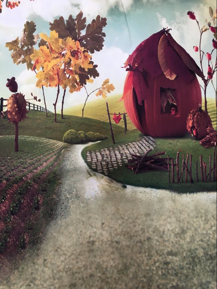 即納品SS-12004 ドール用背景布（在庫あり）　SS(幅0.3ｍｘ長さ0.6ｍ)