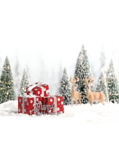 即納品SS-D-y-5924　ドール用背景布（在庫あり）　SS(幅0.3ｍｘ長さ0.6ｍ)