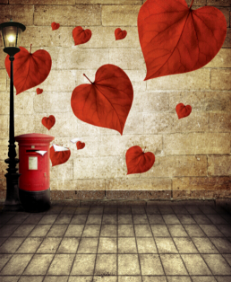 即納品SS-D-y-5913　ドール用背景布（在庫あり）　SS(幅0.3ｍｘ長さ0.6ｍ)