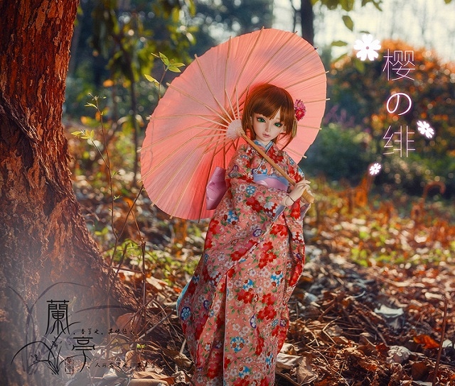AF7269【L.T】1/3幼SD,MSD,SD,DD（L/M），SD13,SD17男用着物－ 樱の绯