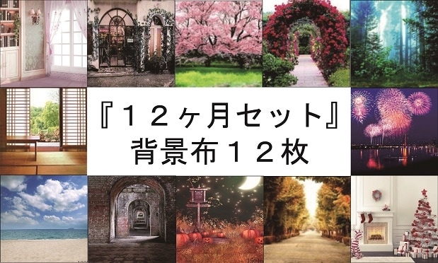 即納品SS-12ヶ月セット　【タイプB】　 ドール用背景布（在庫あり）　SS(幅0.3ｍｘ長さ0.6ｍ)