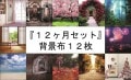 即納品RS-12ヶ月セット【タイプB】 ドール用背景布（現品限り/丸発送）　S(幅50ｃｍｘ長さ90ｃｍ)|即納 在庫品Sサイズ|期間限定セール中！背景布(即納在庫品）