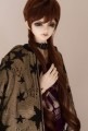 U-3840【D.C.D】ＳＤ13/SD17(頭囲22~24cm)用ウィッグ|SD13/SD17少年|◆ドールウィッグ