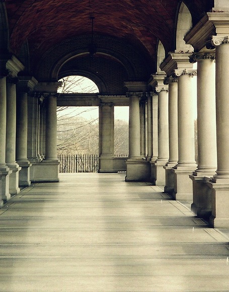 即納品M-N-y-2959  ドール用背景布（現品限り）　M(幅0.6ｍｘ長さ1.2ｍ)