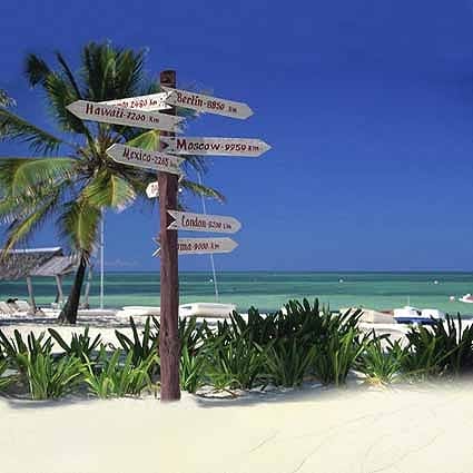 即納品M-N-3246 ドール用背景布（現品限り）　M(幅0.6ｍｘ長さ1.2ｍ)