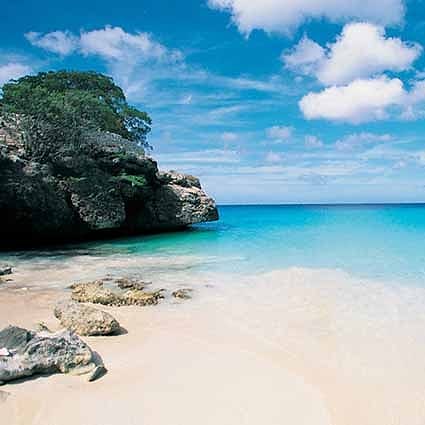 即納品L-N-1165 ドール用背景布（現品限り）　L(45ｃｍ～70ｃｍ)