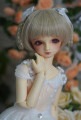 U-4025【QH】MSD(頭囲17~19cm)用ウィッグ|MSD/SDC|◆ドールウィッグ