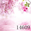 L-14609 ¥É¡¼¥ëÍÑÇØ·ÊÉۡʸ½Éʸ¤ê¡Ë¡¡L(Éý100£ã£í£øÄ¹¤µ150£ã£í)