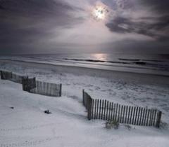 即納品S-9559  ドール用背景布（在庫あり）　S(幅0.5ｍｘ長さ0.9ｍ)