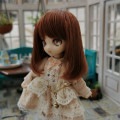 U-1253 【sen】オビツ11用ウィッグ（4インチ）|1/8、1/12|◆ドールウィッグ