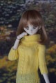 AF9530【al】SD/DD /MSD /MDD 用セ-タ-（ワンサイズ）|ワンピ/シャツ/ブラウス/セーター|◆ドール洋服（種類別）