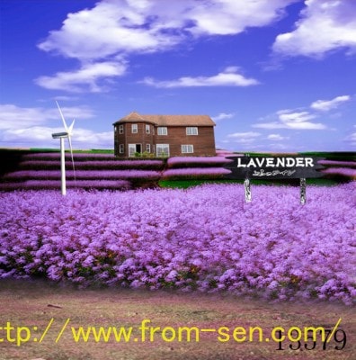 即納品L-13579 ドール用背景布（現品限り）　L(幅100ｃｍｘ長さ150ｃｍ)