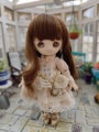 U-1269 【sen】オビツ11用ウィッグ（4〜4.5インチ）|1/8、1/12|◆ドールウィッグ