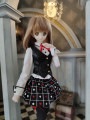 AF9571【al】DD(L/M)用洋服5点セット|女の子カジュアル服|◆ドール洋服（種類別）
