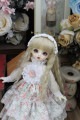 AF9648【Xmya】Blythe,SD/DD,MSD,幼SD洋服2点セット|ドレス|◆ドール洋服（種類別）