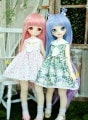 AF9883【MOMO】MSD/MDD用洋服3点セット