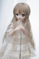 ¨ǼÉÊ(¥¦¥£¥Ã¥°)U-4171¡¡MSD¥µ¥¤¥º