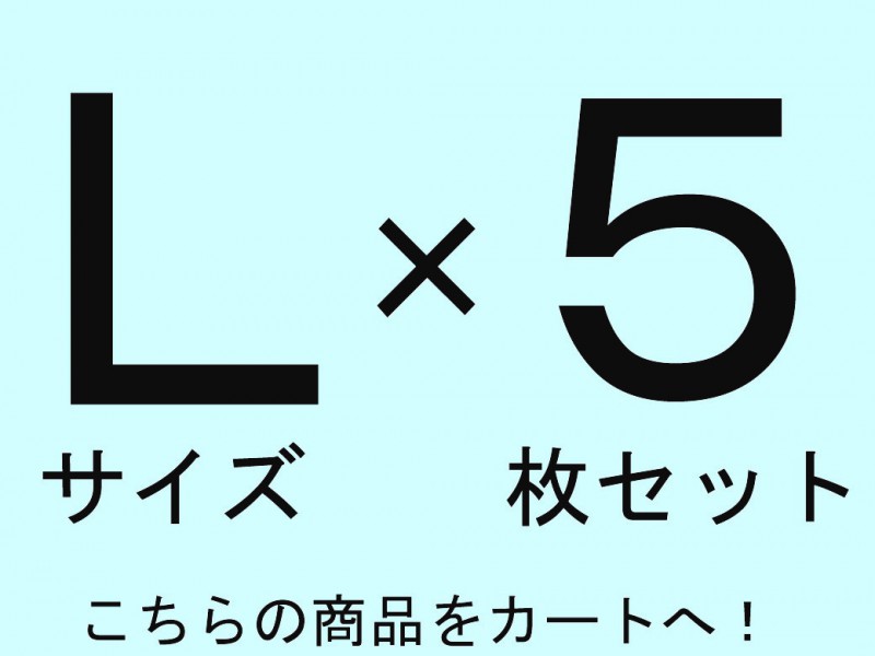 『Ｌサイズ×５枚セット』撮影用背景布★ドール用Lサイズ(1ｍ x 1.5m）★