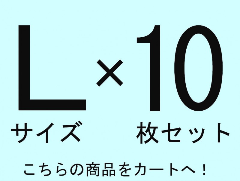 『Ｌサイズ×10枚セット』撮影用背景布★ドール用Lサイズ(1ｍ x 1.5m）★