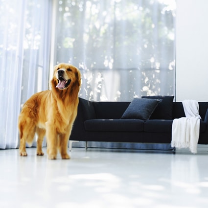 1241撮影用背景布★多サイズ対応(0.5ｍ x 0.9～3ｍ x 6m）★