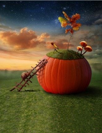 B-w010撮影用背景布★多サイズ対応(0.5ｍ x 0.9～3ｍ x 7m）★