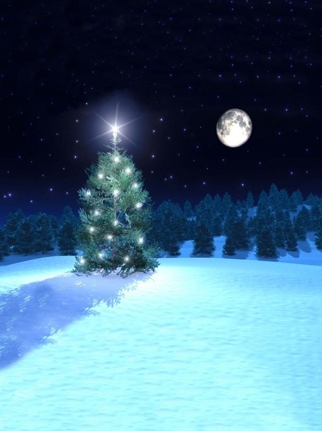 B-w109撮影用背景布★多サイズ対応(0.5ｍ x 0.9～3ｍ x 7m）★