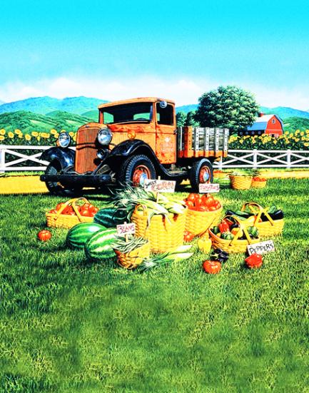 B-y-3081撮影用背景布★多サイズ対応(0.5ｍ x 0.9～3ｍ x 7m）★