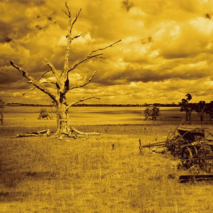 B-5740撮影用背景布★多サイズ対応(0.5ｍ x 0.9～3ｍ x 7m）★