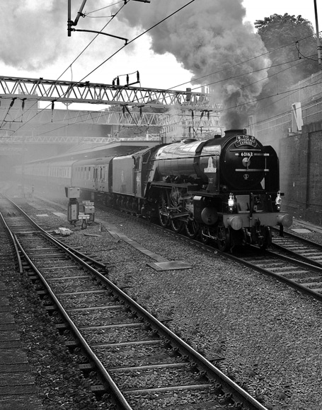 B-y-4721撮影用背景布★多サイズ対応(0.5ｍ x 0.9～3ｍ x 7m）★