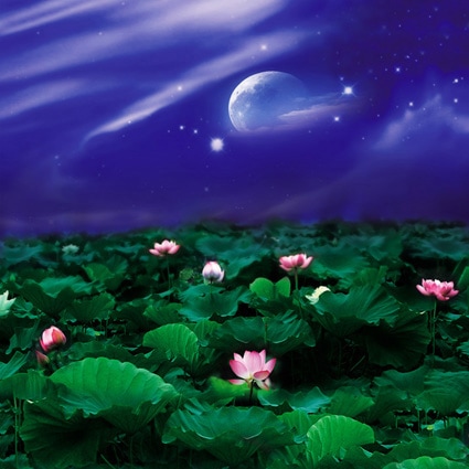 B-S7396撮影用背景布★多サイズ対応(0.5ｍ x 0.9～3ｍ x 7m）★