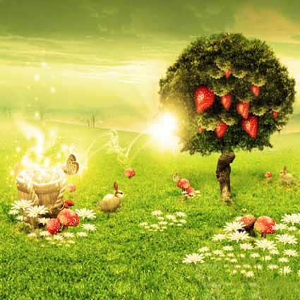 B-3785撮影用背景布★多サイズ対応(0.5ｍ x 0.9～3ｍ x 7m）★