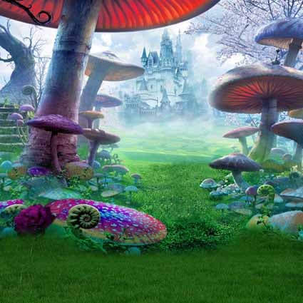 B-7016撮影用背景布★多サイズ対応(0.5ｍ x 0.9～3ｍ x 7m）★