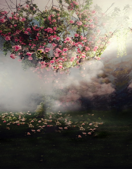 B-y-3236撮影用背景布★多サイズ対応(0.5ｍ x 0.9～3ｍ x 7m）★