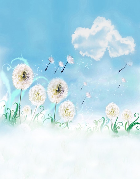 B-y-3771撮影用背景布★多サイズ対応(0.5ｍ x 0.9～3ｍ x 7m）★