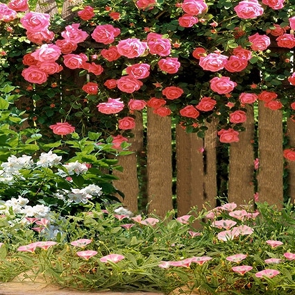 B-4048.jpg撮影用背景布★多サイズ対応(0.5ｍ x 0.9～3ｍ x 6m）★