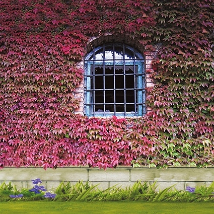B-5568.jpg撮影用背景布★多サイズ対応(0.5ｍ x 0.9～3ｍ x 6m）★