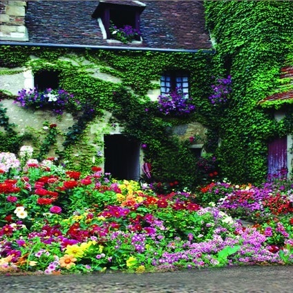 B-6003.jpg撮影用背景布★多サイズ対応(0.5ｍ x 0.9～3ｍ x 6m）★