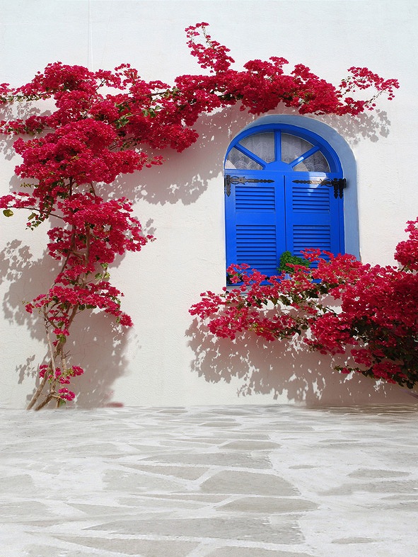 B-7179.jpg撮影用背景布★多サイズ対応(0.5ｍ x 0.9～3ｍ x 6m）★