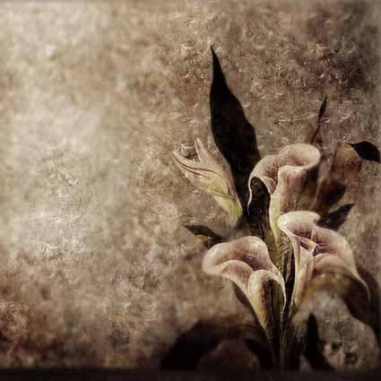 B-7274.jpg撮影用背景布★多サイズ対応(0.5ｍ x 0.9～3ｍ x 6m）★