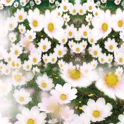 B-7282.jpg撮影用背景布★多サイズ対応(0.5ｍ x 0.9～3ｍ x 6m）★