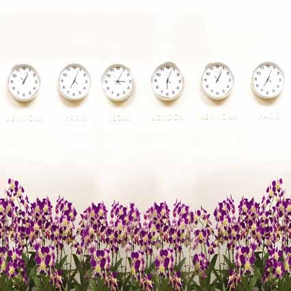 B-7370.jpg撮影用背景布★多サイズ対応(0.5ｍ x 0.9～3ｍ x 6m）★