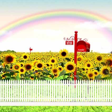 B-7408.jpg撮影用背景布★多サイズ対応(0.5ｍ x 0.9～3ｍ x 6m）★