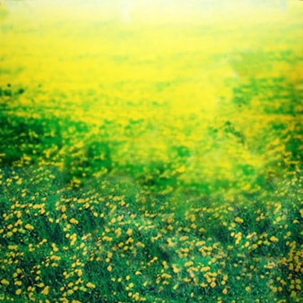 B-7452.jpg撮影用背景布★多サイズ対応(0.5ｍ x 0.9～3ｍ x 6m）★