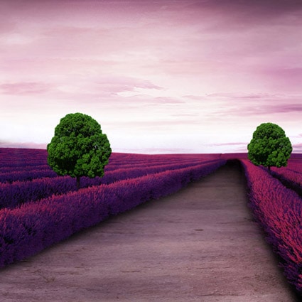 B-7499.jpg撮影用背景布★多サイズ対応(0.5ｍ x 0.9～3ｍ x 6m）★